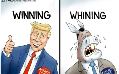 ‘Mass chaos and confusion’: Dem AGs suing to block Musk influence in government looking to hire notorious climate crusaders